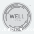 WELL铂金级